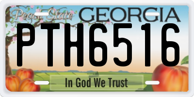 GA license plate PTH6516