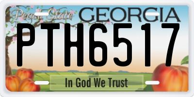 GA license plate PTH6517