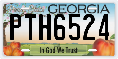 GA license plate PTH6524