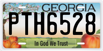 GA license plate PTH6528