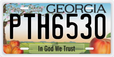 GA license plate PTH6530