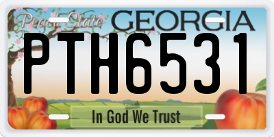 GA license plate PTH6531