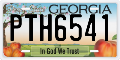 GA license plate PTH6541