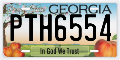 GA license plate PTH6554