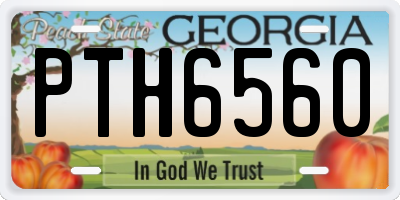 GA license plate PTH6560