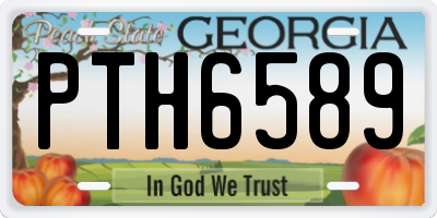 GA license plate PTH6589