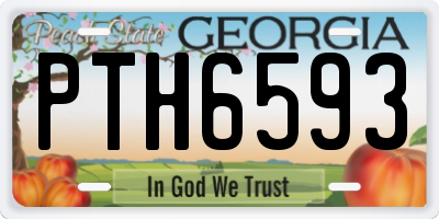 GA license plate PTH6593