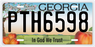 GA license plate PTH6598