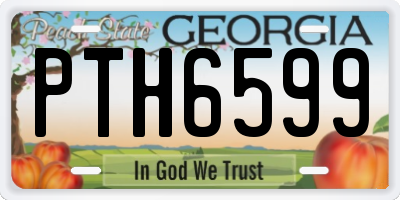 GA license plate PTH6599