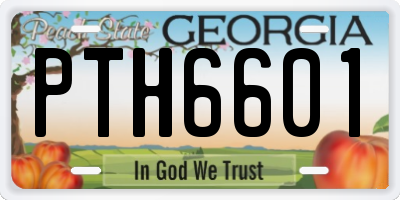 GA license plate PTH6601