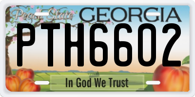 GA license plate PTH6602