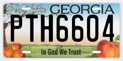 GA license plate PTH6604