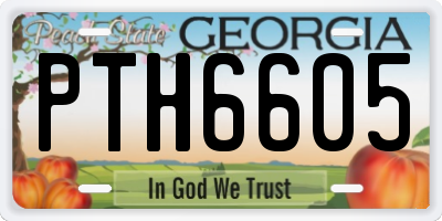GA license plate PTH6605