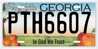 GA license plate PTH6607