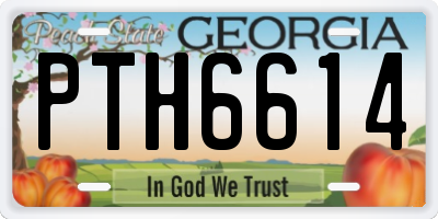 GA license plate PTH6614