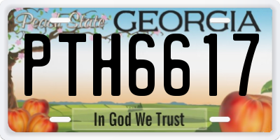GA license plate PTH6617