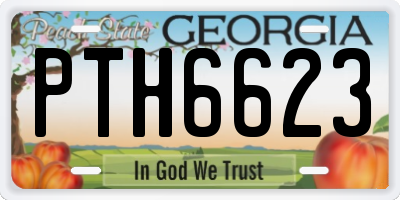 GA license plate PTH6623