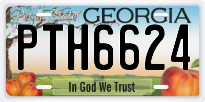 GA license plate PTH6624