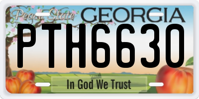 GA license plate PTH6630