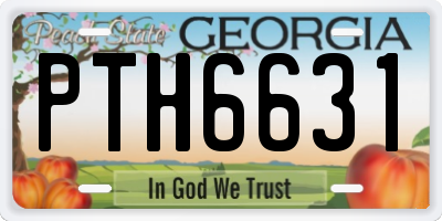 GA license plate PTH6631