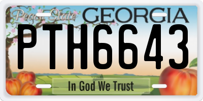 GA license plate PTH6643