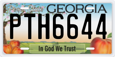GA license plate PTH6644