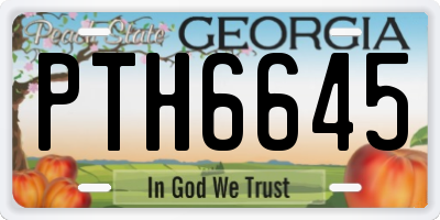 GA license plate PTH6645