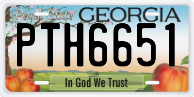 GA license plate PTH6651