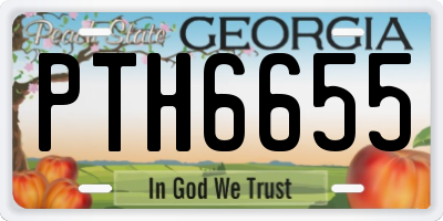 GA license plate PTH6655