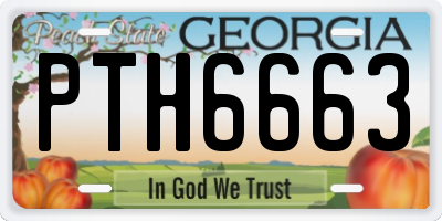 GA license plate PTH6663