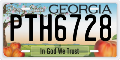 GA license plate PTH6728