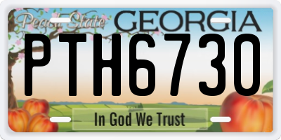 GA license plate PTH6730