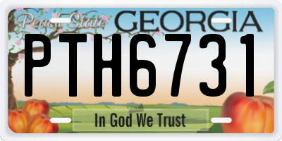 GA license plate PTH6731