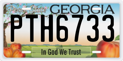 GA license plate PTH6733