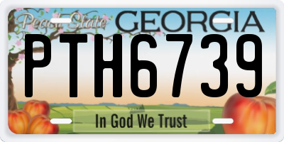 GA license plate PTH6739