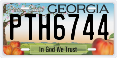 GA license plate PTH6744