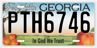 GA license plate PTH6746