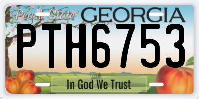 GA license plate PTH6753
