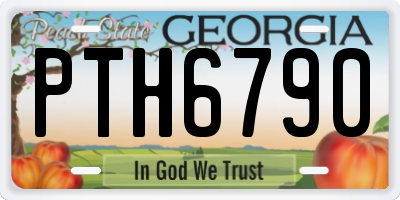 GA license plate PTH6790