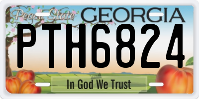 GA license plate PTH6824