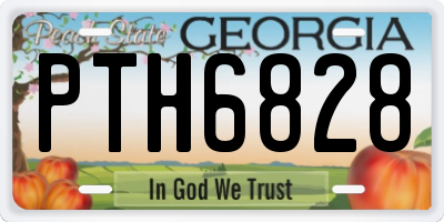 GA license plate PTH6828