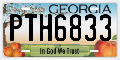 GA license plate PTH6833