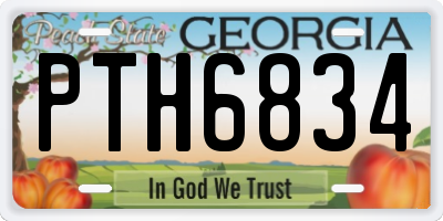 GA license plate PTH6834