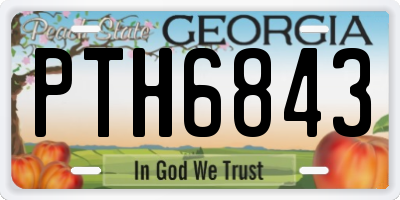 GA license plate PTH6843