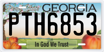 GA license plate PTH6853