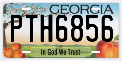 GA license plate PTH6856