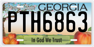 GA license plate PTH6863