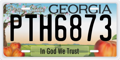 GA license plate PTH6873