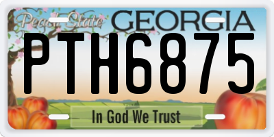 GA license plate PTH6875