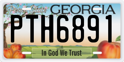 GA license plate PTH6891